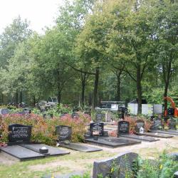 Snoei- en velwerk begraafplaats Hollandscheveld