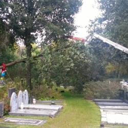 Snoei- en velwerk op begraafplaats in Hoogeveen