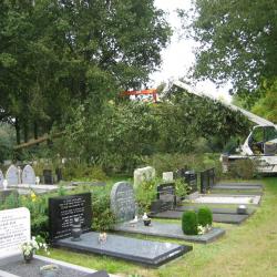 Snoei- en velwerk op begraafplaats in Hoogeveen