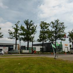 Snoeien Industrieweg in Hoogeveen